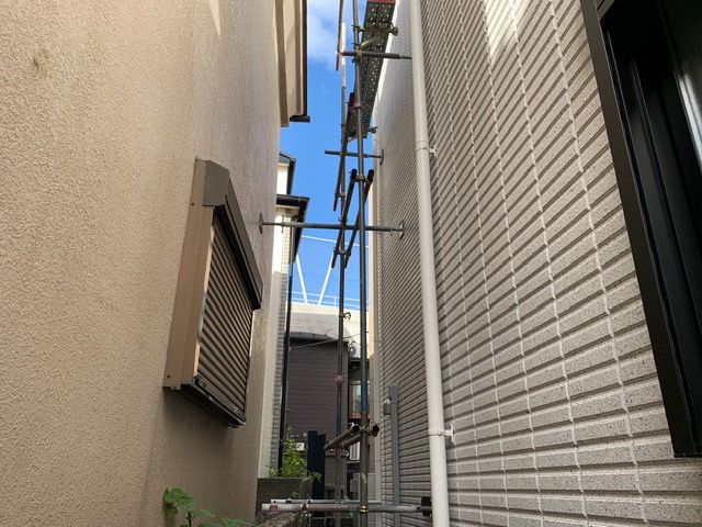 IMG_6172.jpeg