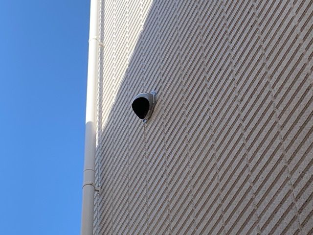 IMG_6193.jpeg