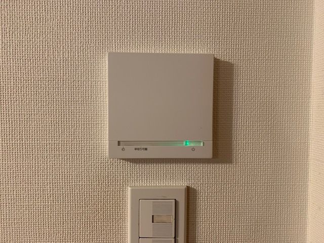 IMG_7242.jpeg
