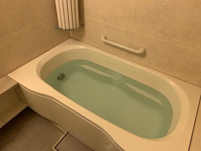IMG_7251.jpeg