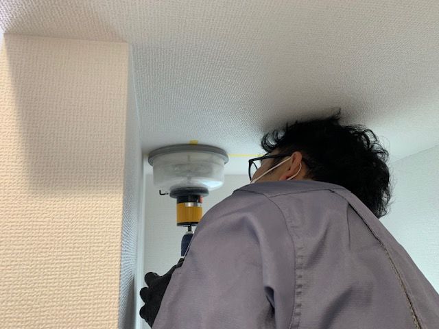IMG_8638.jpeg